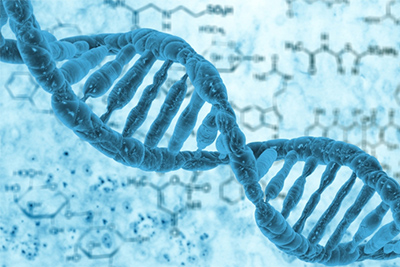 জঙ্গিবাদের জন‍্য কি আমাদের DNA দায়ী