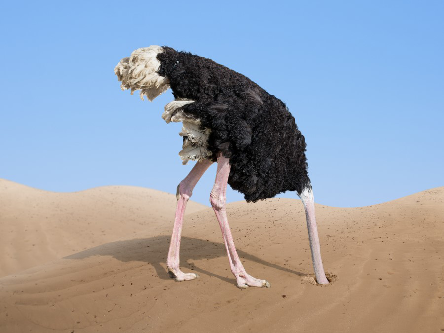 The Ostrich Algorithm